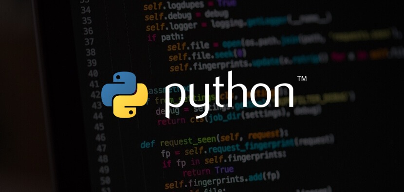 Python web development