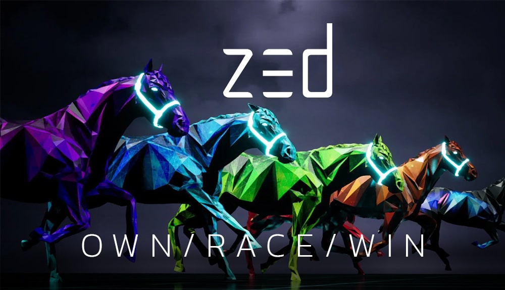 ZED RUN