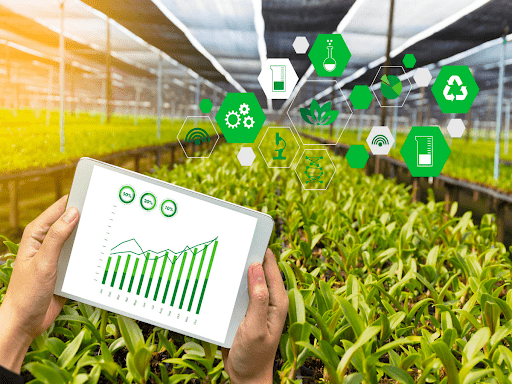 AI Voice-Based Agriculture Advisor